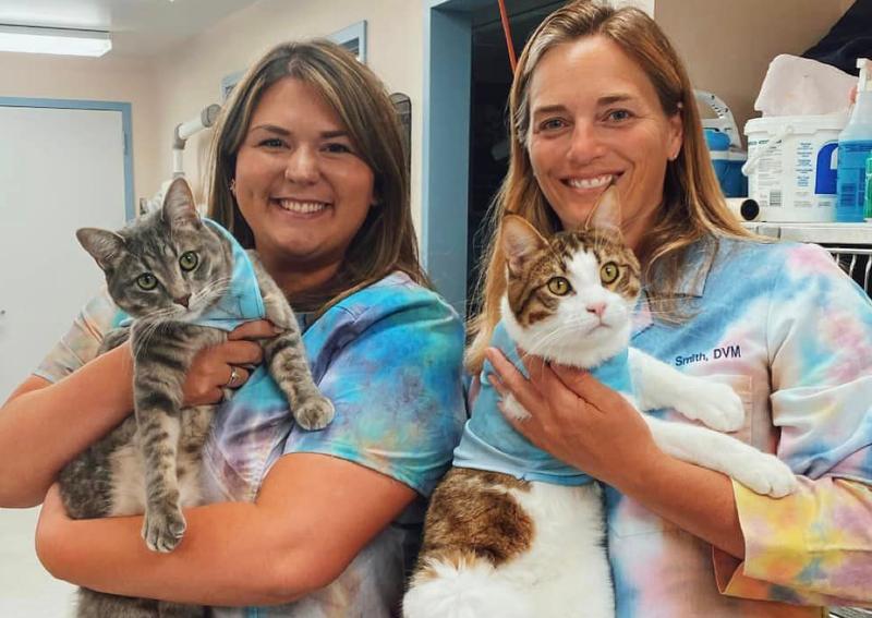 Carousel Slide 8: Clinic Cats, Brie & Colbie